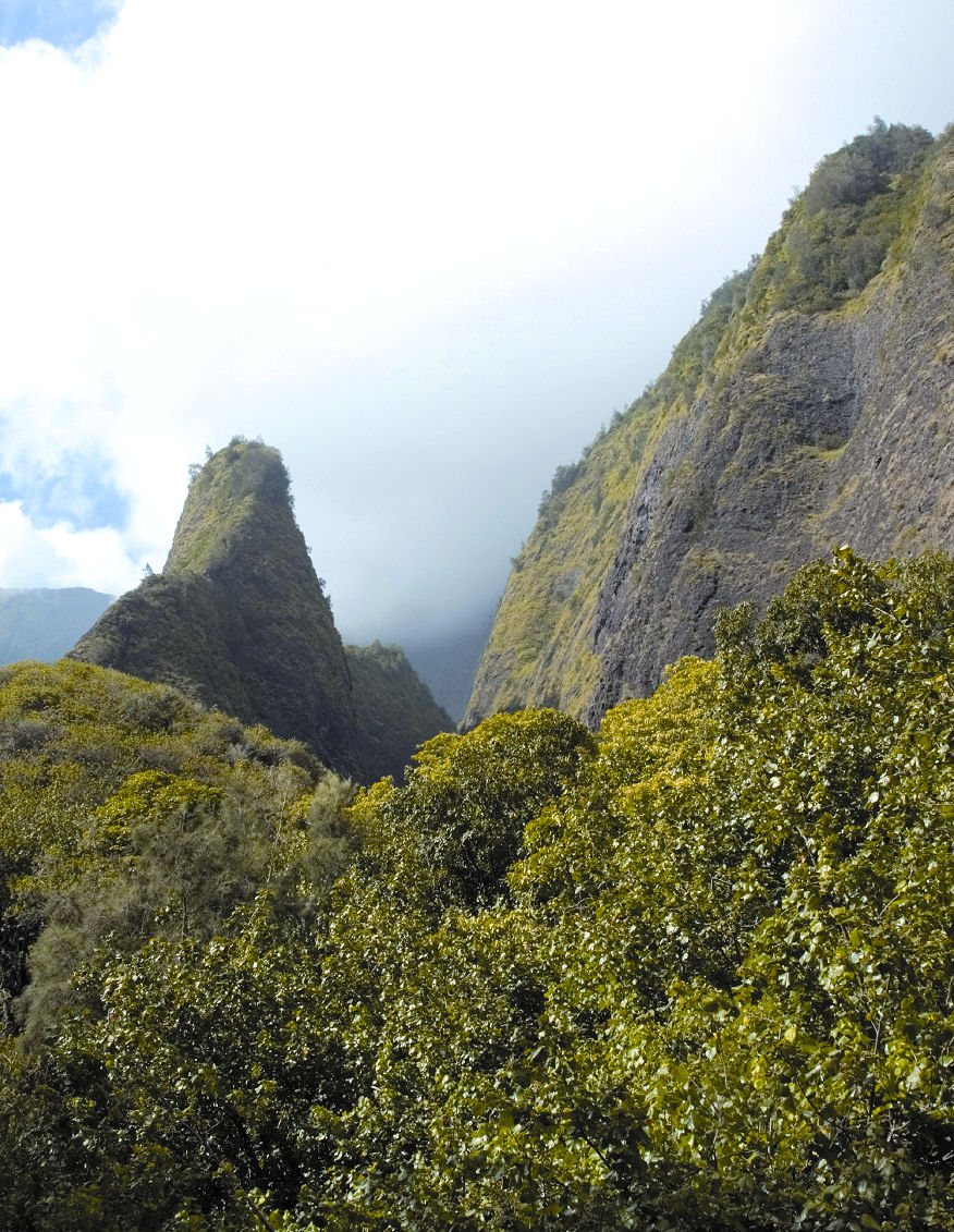 Maui Tropical Plantation & Iao Valley & Maui Ocean Center
